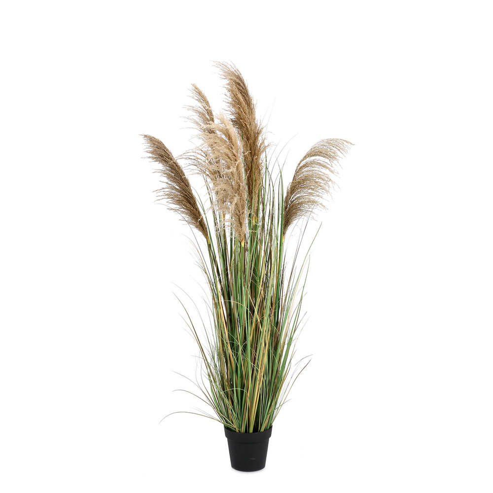 Pianta Decorativa Artificiale H 170 cm Austorderia Bizzotto