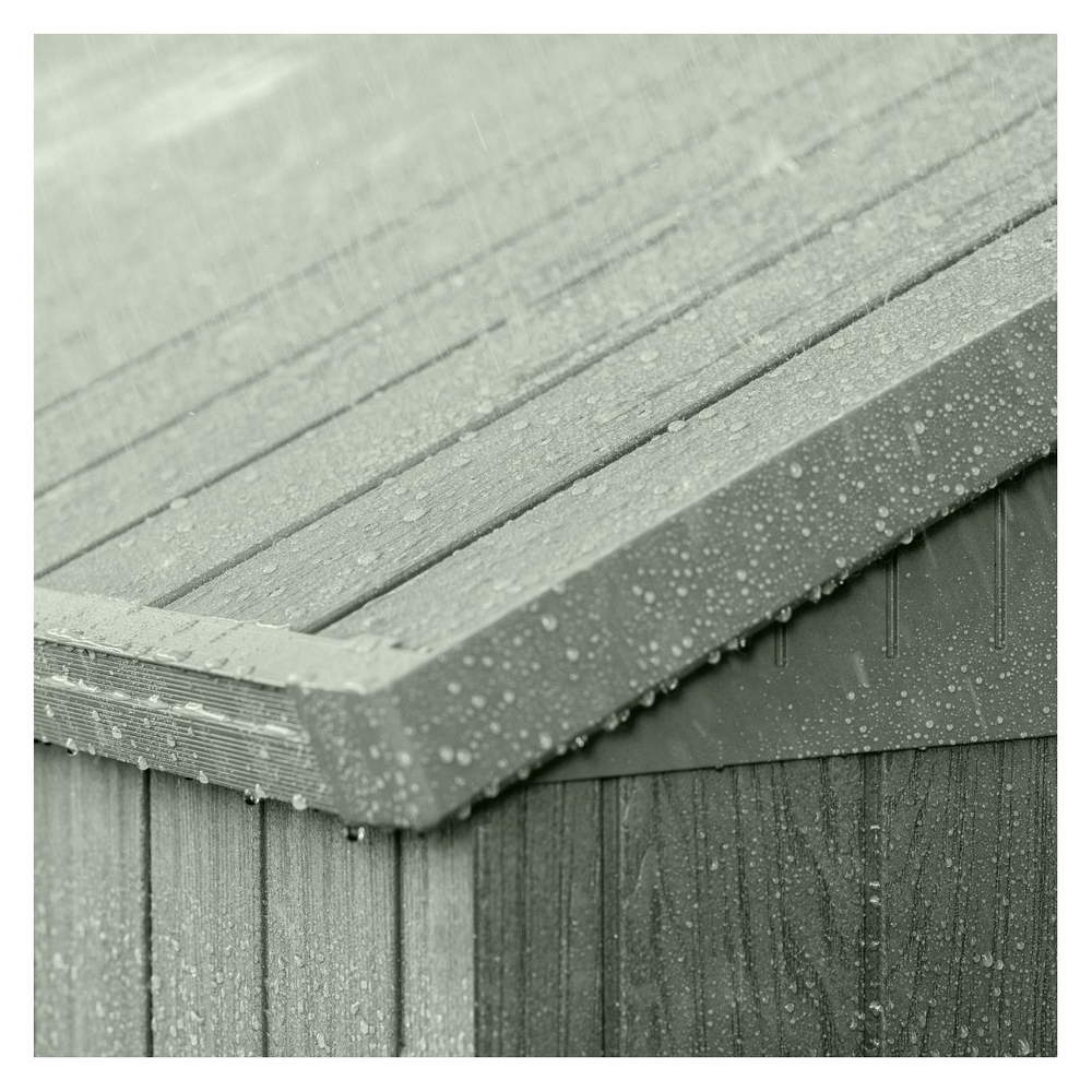 Casetta da Giardino in Resina Keter Darwin 6x4 con Finestre Colore: Verde