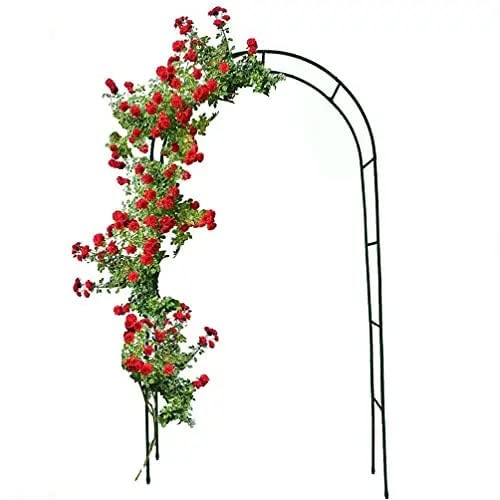 Arco Da Giardino Per Rose Piante Rampicanti Tralicc…