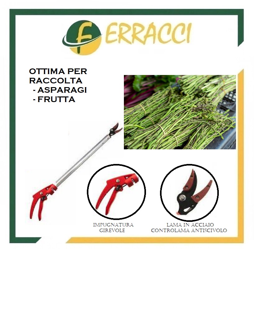 TAGLIA-ASPARAGI E RACCOGLI FRUTTA 80CM