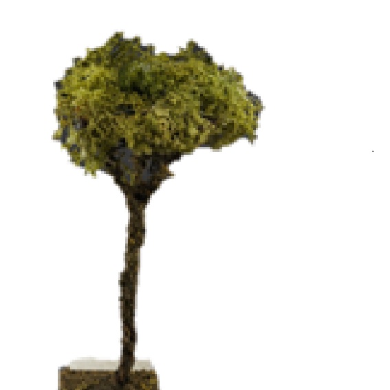 Albero realizzato con lichene 6 cm vegetazione per presepe