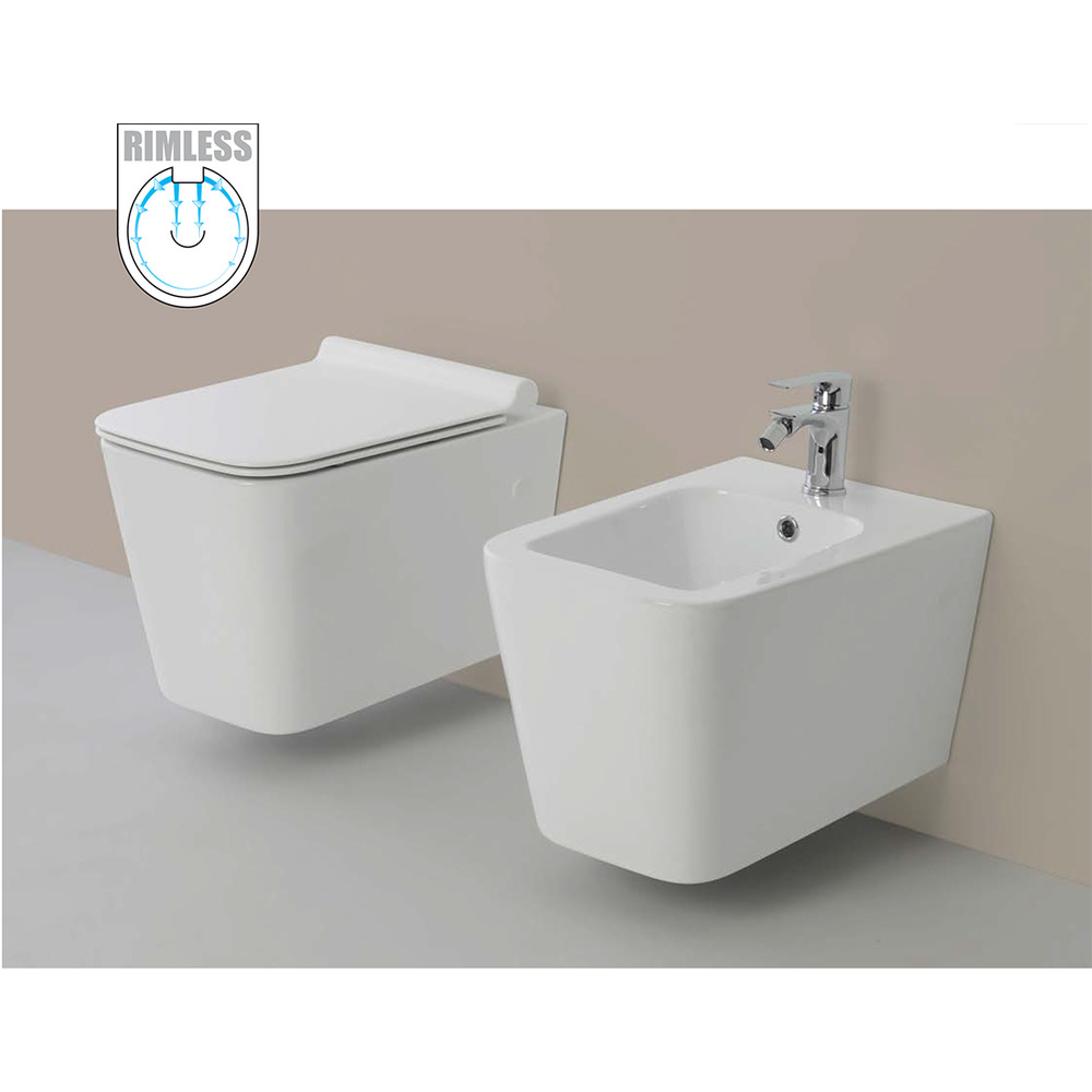Vaso WC Rimless e Bidet Sospeso Filo Muro Linea Q Squadrato senza Brida Formato: WC