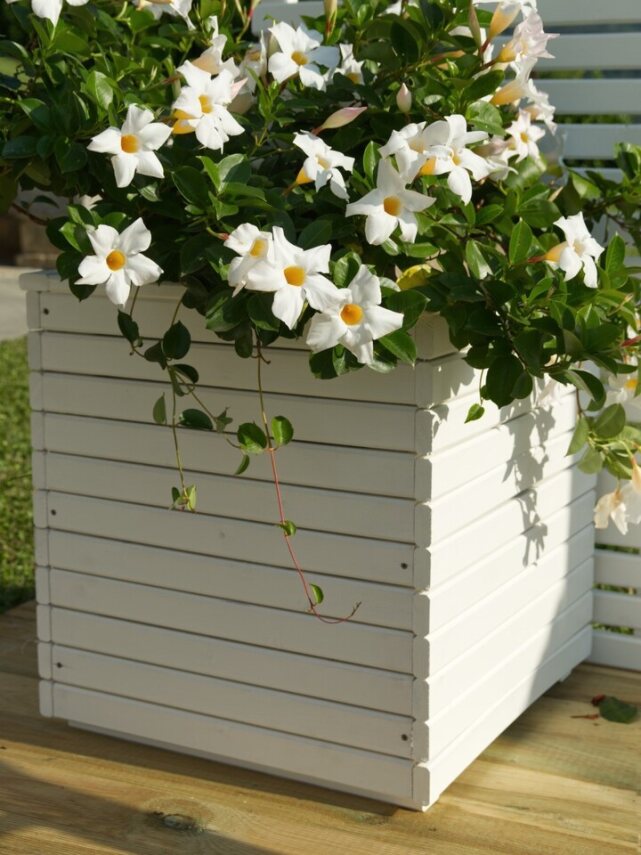 FIORIERA CAMELIA LACCATA BIANCO 40X40X40H